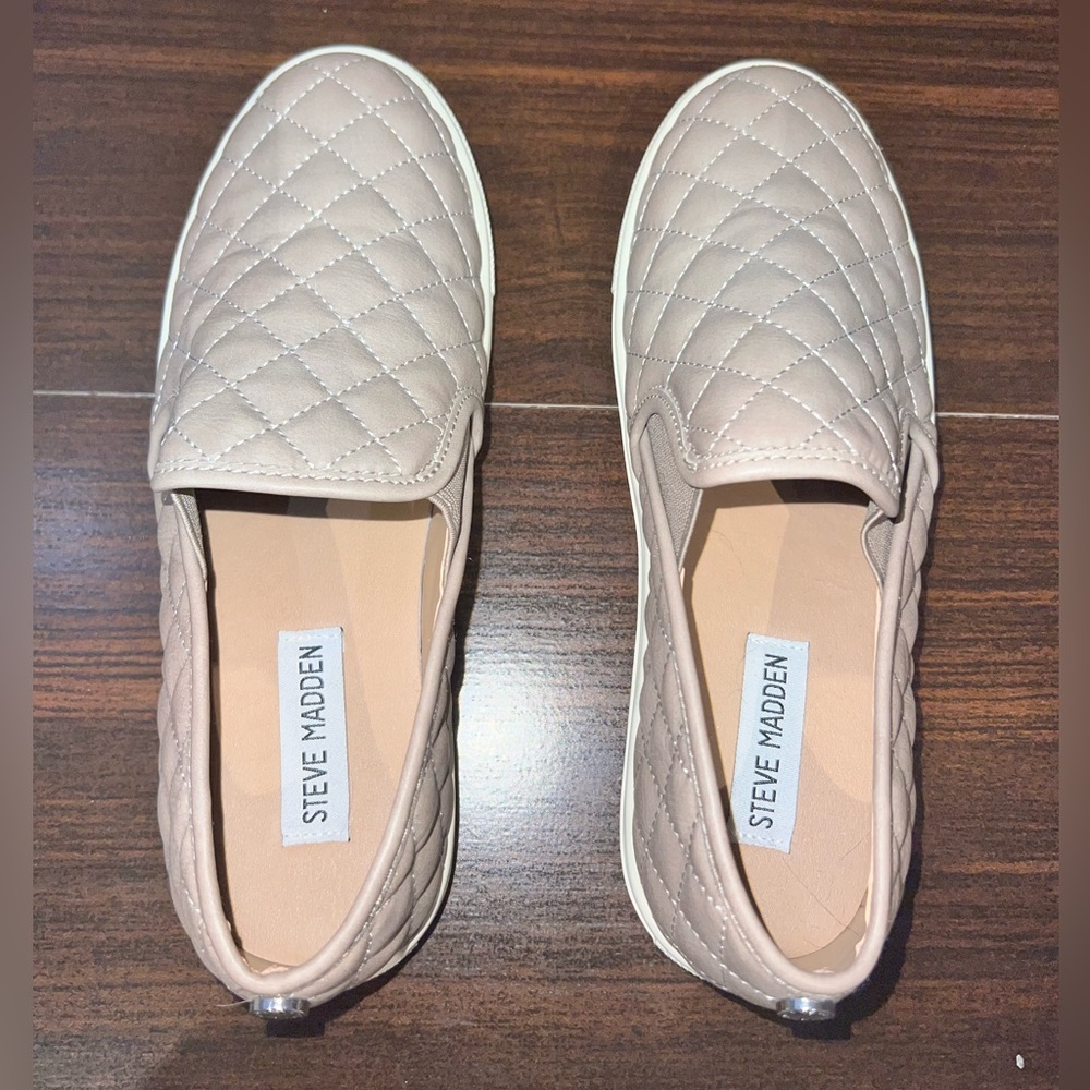 Steve Madden Women's Ecentrcq Sneaker